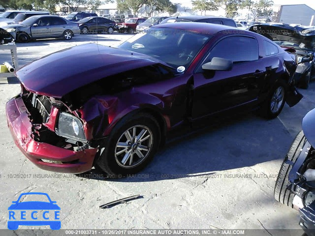 2007 Ford Mustang 1ZVFT80NX75274697 image 1