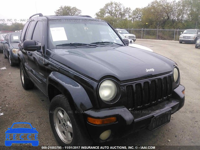 2004 Jeep Liberty LIMITED 1J4GK58K14W111035 Bild 0