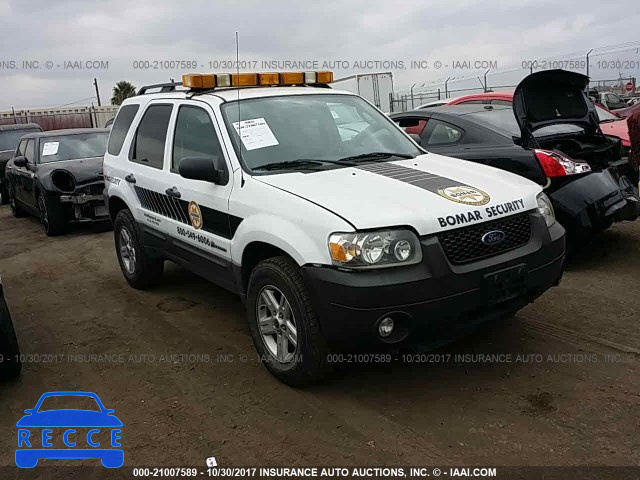 2007 Ford Escape 1FMYU49H87KB70818 image 0