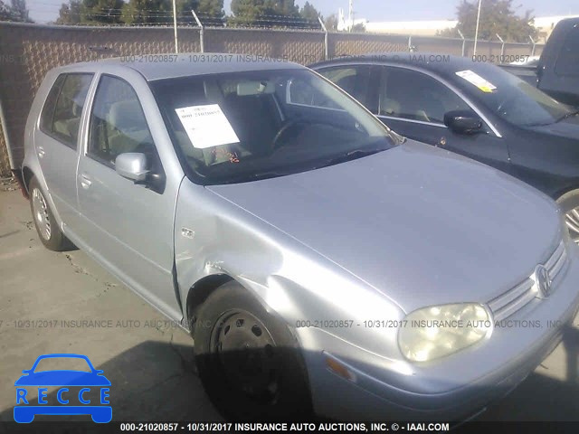 2002 Volkswagen Golf GLS 9BWGB61J124031035 Bild 0