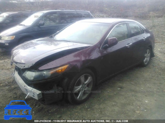 2009 Acura TSX JH4CU26639C003655 Bild 1