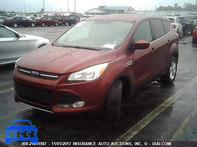 2014 Ford Escape 1FMCU0GX4EUA07016 зображення 0