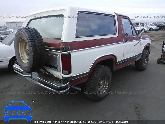 1984 Ford Bronco U100 1FMEU15H1ELA53645 image 3