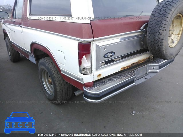 1984 Ford Bronco U100 1FMEU15H1ELA53645 image 5