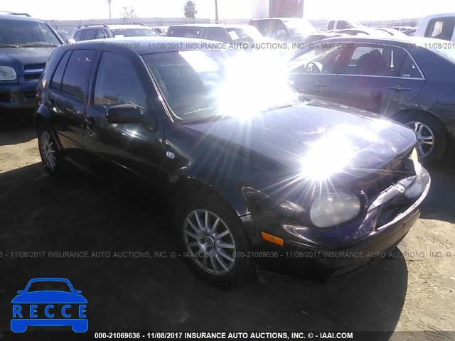 2004 Volkswagen Golf GLS 9BWGL61J344012311 image 0