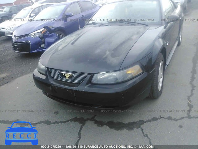 2003 Ford Mustang 1FAFP40433F441502 Bild 5