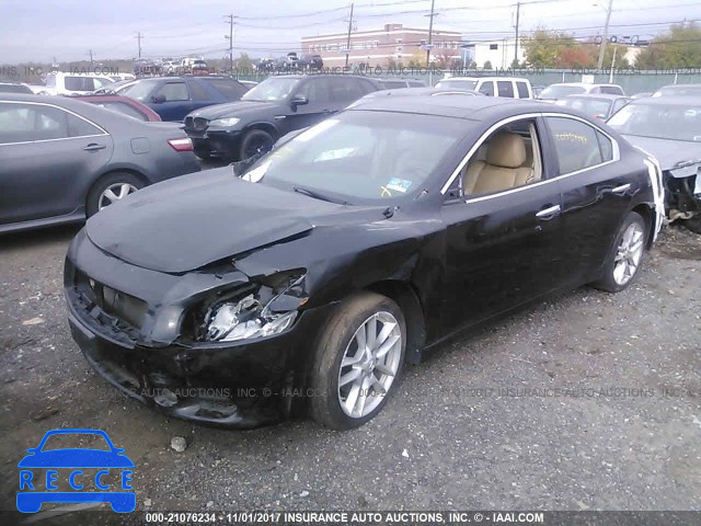 2010 Nissan Maxima S/SV 1N4AA5APXAC800465 Bild 1