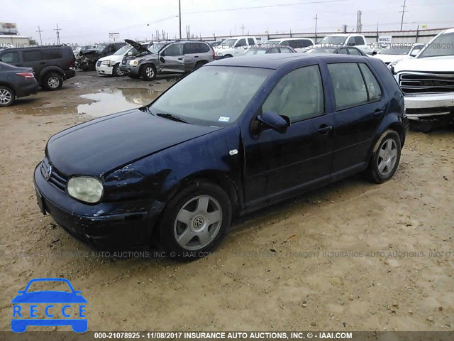 2002 VOLKSWAGEN GOLF GLS 9BWGB61J324011353 зображення 1