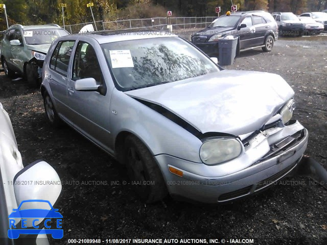 2002 Volkswagen Golf GLS 9BWGK61J724045991 image 0