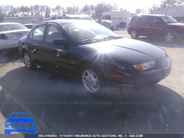 2002 Saturn SL2 1G8ZJ52702Z161257 image 0