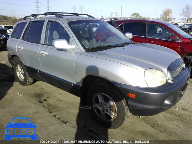 2003 Hyundai Santa Fe GLS/LX KM8SC73D43U434731 image 0