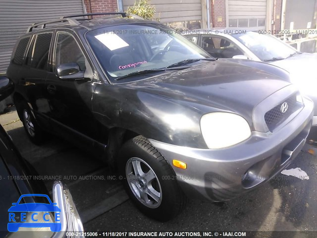 2002 Hyundai Santa Fe GL KM8SB12B62U188537 image 0