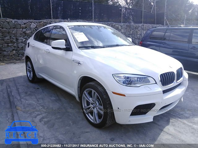 2014 BMW X6 M 5YMGZ0C54E0C40603 image 0