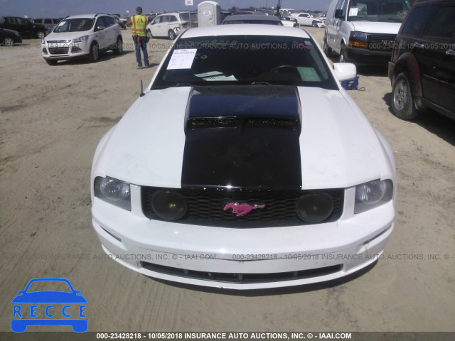 2007 FORD MUSTANG GT 1ZVHT82HX75317502 image 5