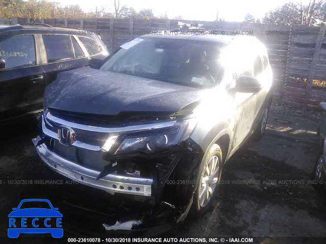 2019 HONDA PILOT LX 5FNYF6H19KB007812 image 1