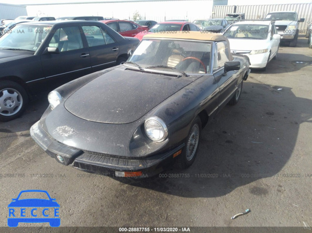 1984 ALFA ROMEO VELOCE 2000 SPIDER ZARBA5412E1018786 image 1