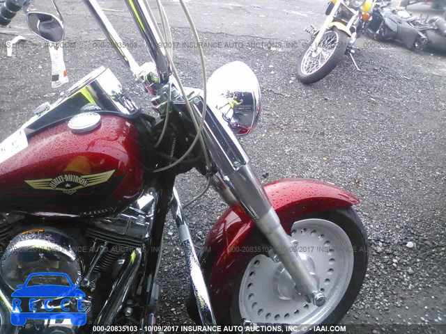 2008 Harley-davidson FLSTF 1HD1BX5168Y016272 Bild 4