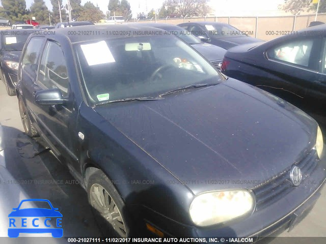 2004 Volkswagen Golf GL 9BWBL61J744016193 image 0