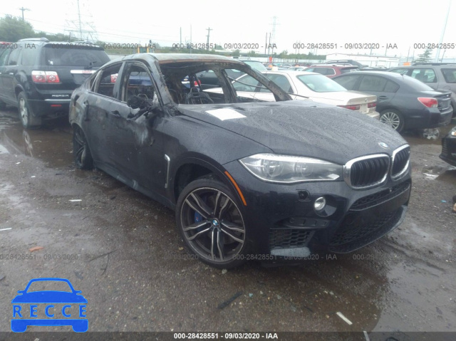 2015 BMW X6 M 5YMKW8C52F0G93928 зображення 0