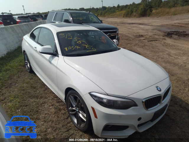 2019 BMW 2 SERIES 230I XDRIVE WBA2J3C57K7D04693 зображення 0