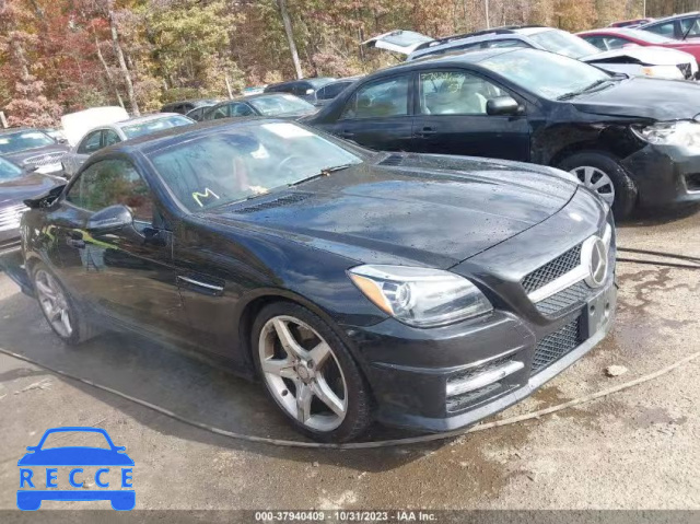 2014 MERCEDES-BENZ SLK 350 WDDPK5HA0EF090473 image 0