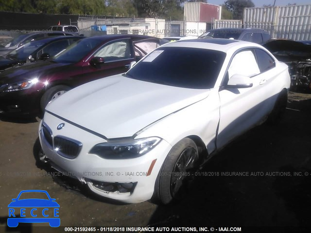 2016 BMW 228 I/SULEV WBA1F9C50GV545348 зображення 1