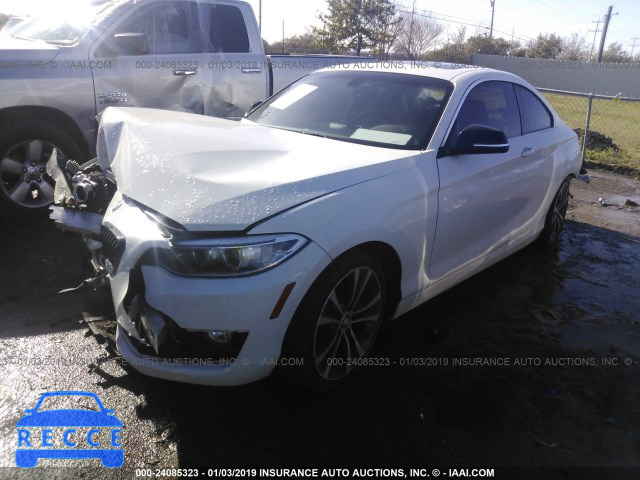 2014 BMW 228 I WBA1F5C58EV255462 image 1