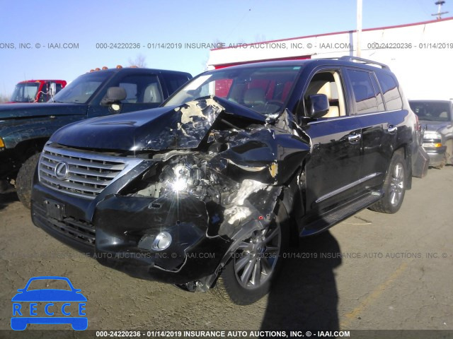 2011 LEXUS LX 570 JTJHY7AX3B4065966 Bild 1