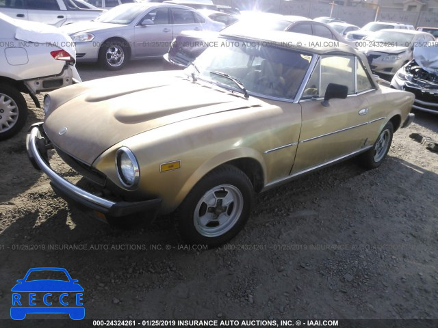 1981 FIAT SPIDER 124CS000178498 image 1