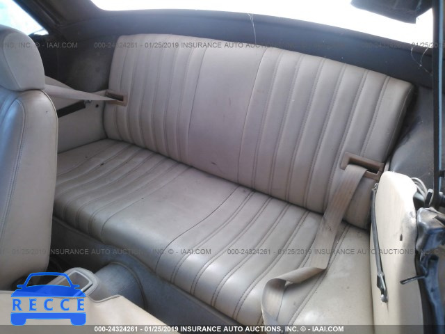 1981 FIAT SPIDER 124CS000178498 image 7