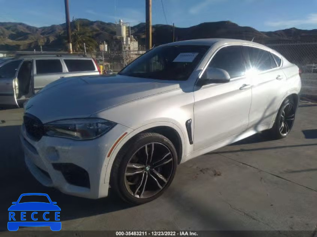 2015 BMW X6 M 5YMKW8C53F0G93842 image 1