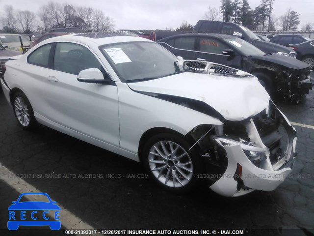 2016 BMW 228 I/SULEV WBA1F9C57GV546352 зображення 0