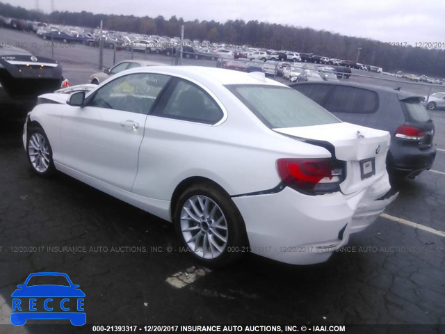 2016 BMW 228 I/SULEV WBA1F9C57GV546352 image 2