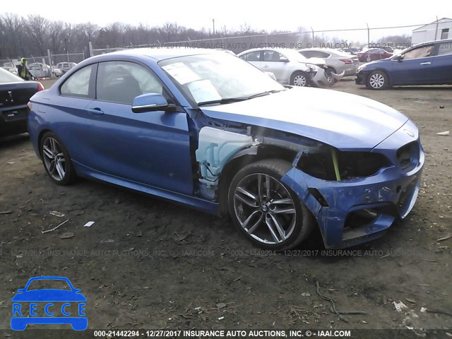 2014 BMW 228 I WBA1F5C58EV255431 Bild 0