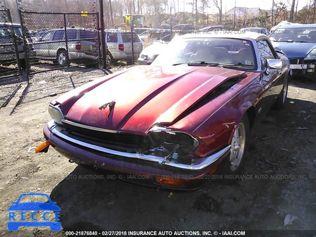 1995 JAGUAR XJS 2+2 SAJNX2746SC195661 image 5