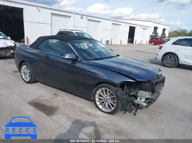 2016 BMW 228I XDRIVE WBA1L9C52GV325461 зображення 0