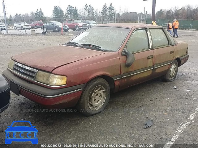 1991 FORD TEMPO GL 2FAPP36X8MB158130 зображення 1