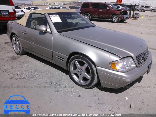 1999 MERCEDES-BENZ SL 500 WDBFA68F7XF176049 image 0