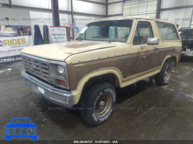 1983 FORD BRONCO U100 1FMEU15Y7DLA36461 image 1