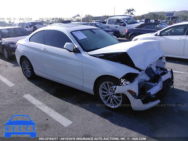 2015 BMW 228 XI WBA1F7C5XFVX95666 Bild 0