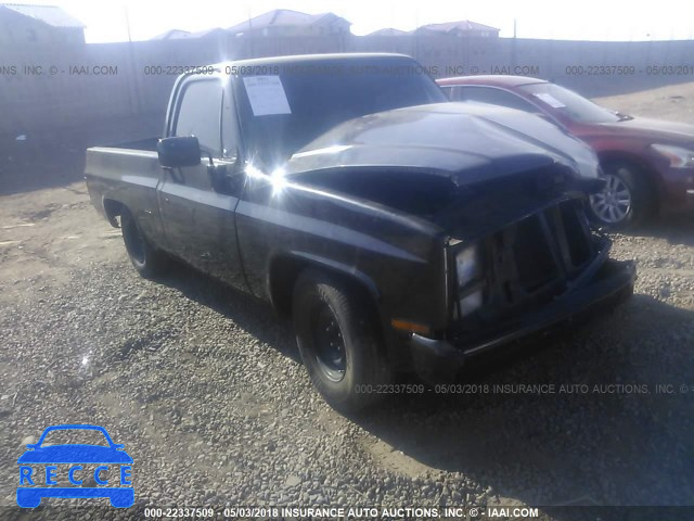 1980 GMC PICKUP TCD14AJ509496 зображення 0