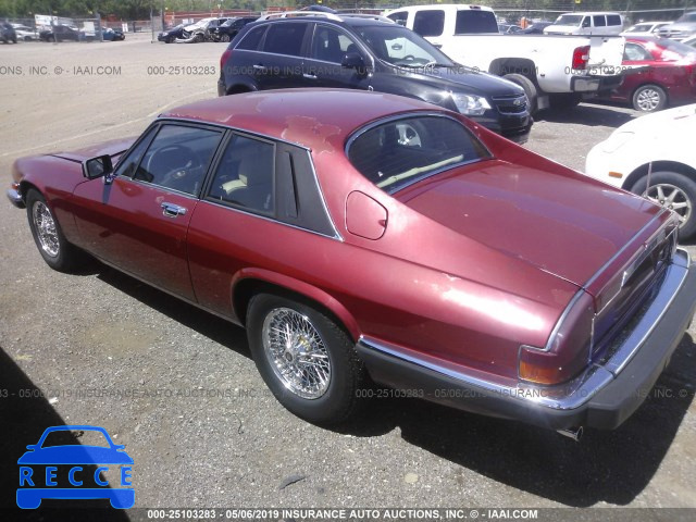 1984 JAGUAR XJS SAJNV5844EC112576 зображення 2