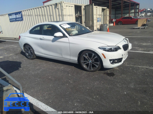 2019 BMW 2 SERIES 230I XDRIVE WBA2J3C54KVD49375 зображення 0