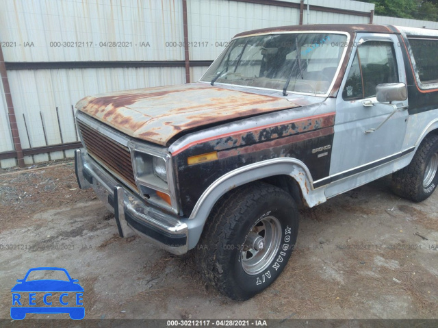 1984 FORD BRONCO U100 1FMEU15G8ELA18429 image 5