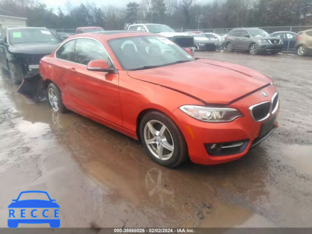 2016 BMW 228I XDRIVE WBA1G9C55GV727110 зображення 0