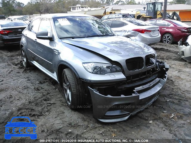 2010 BMW X6 M 5YMGZ0C53ALK13351 image 0
