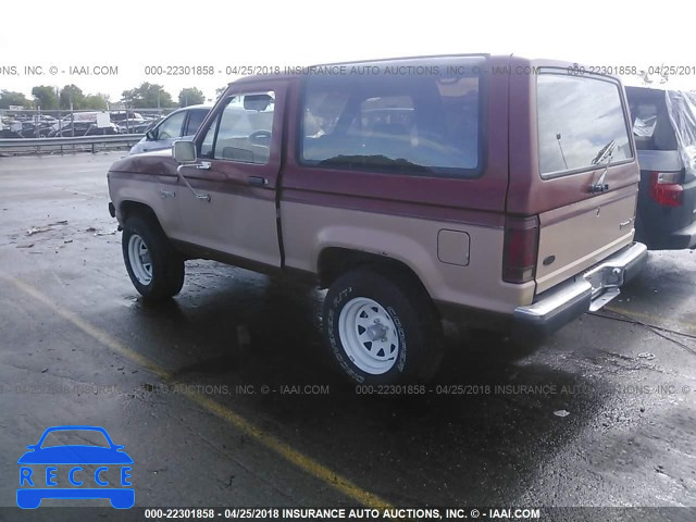 1987 FORD BRONCO II 1FMCU14T9HUC86278 image 2