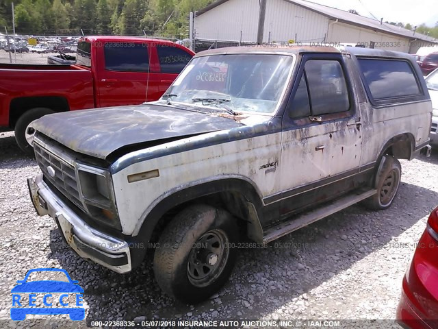 1983 FORD BRONCO U100 1FMEU15F4DLA32611 image 1