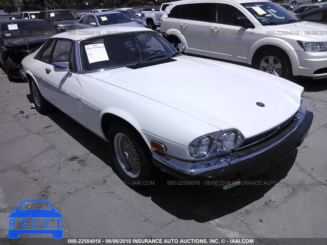 1989 JAGUAR XJS SAJNA5845KC149384 зображення 0