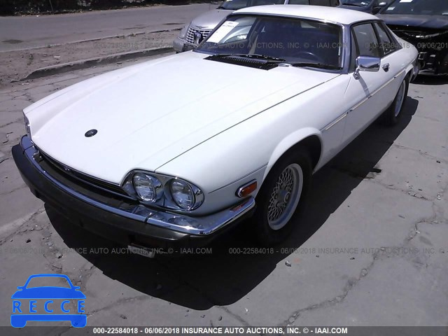 1989 JAGUAR XJS SAJNA5845KC149384 зображення 1